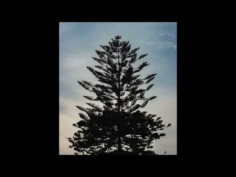 [FREE] skele, guardin, midwest emo type beat  | "fullyfocused"