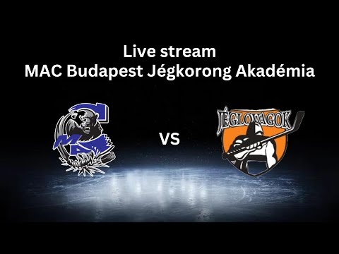 U12 R169 l MAC Budapest B - Veszprémi Jéglovagok l 12.03.
