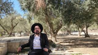 המזבח הוא ציון הדרך! הרב אליהו ובר (ישיבת הר הבית) - התמונה מוצגת ישירות מתוך אתר האינטרנט יוטיוב. זכויות היוצרים בתמונה שייכות ליוצרה. קישור קרדיט למקור התוכן נמצא בתוך דף הסרטון