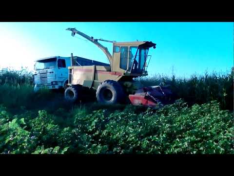 New Holland 2205 Scania 112M Scania 113M Silage Adendro Siakas kostas part 1