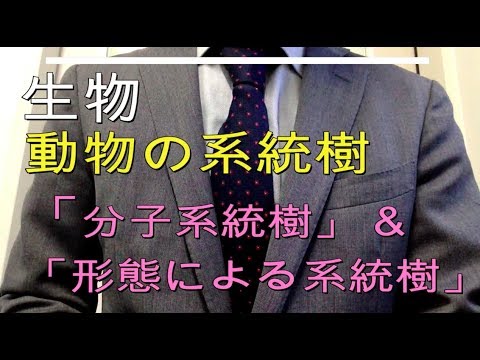系統樹について詳しく解説