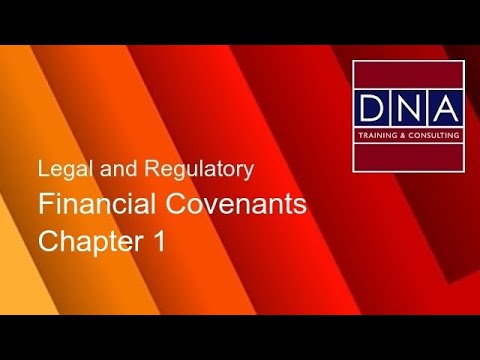Financial Covenants - Chapter 1 - Demo