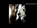 The Dynospectrum - Struggle Song