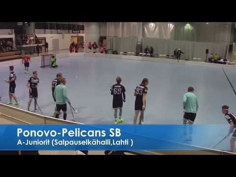 Ponovo-Pelicans SB (21.1.18 Klo:16.00 A-POJAT 1 D )