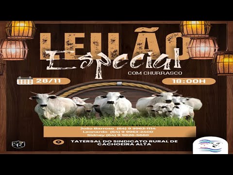 LEILÃO ESPECIAL ALBERTO e MARTINS 28/11/2025 AS 18:00 hs em Cachoeira Alta Go.