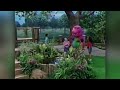 Barney Friends S4E19 Once A Pond A Time 1997 Multiple Sources
