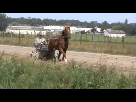 Training bij entrainement Jan van Dooyeweerd 1-8-15