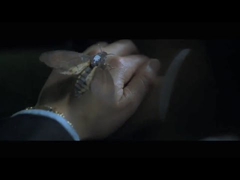 Clarice CBS Trailer #6