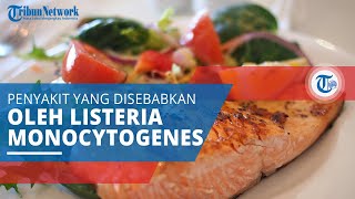 Listeriosis, Penyakit yang Ditularkan Melalui Makanan yang Disebabkan oleh Listeria Monocytogenes