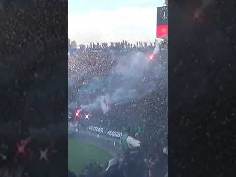 Curva sud magana 💚💚