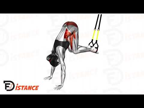 Jack Knife au TRX - Exercice Jack Knife au TRX en vidéo Jack Knife au TRX - Exercice Jack Knife au TRX en vidéo