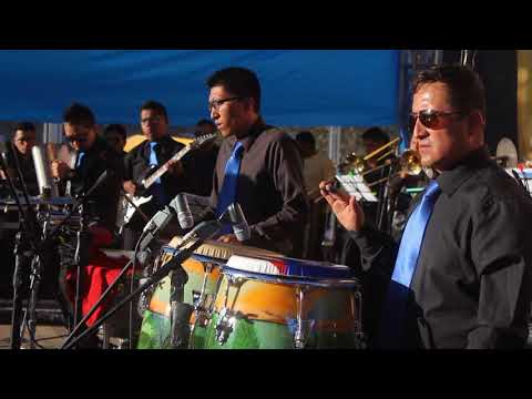 Orquesta Show Internacional T'kila - Alimaña