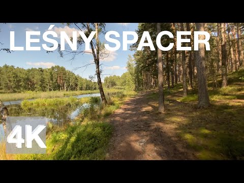 🎥🌲Leśny spacer 4K  Relaxing forest walk 4K 🌲