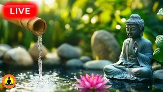 🔴 Relaxing Healing Zen Music 24/7, Sounds of Water, Relaxing Music, Meditation Music, Peaceful Music thumbnail