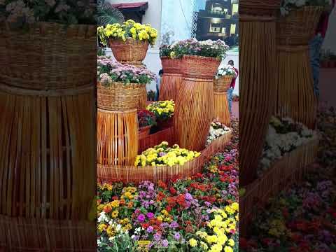 new flower show in vizag 💐🌹