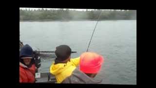 preview picture of video 'Alaska King Salmon Fishing'