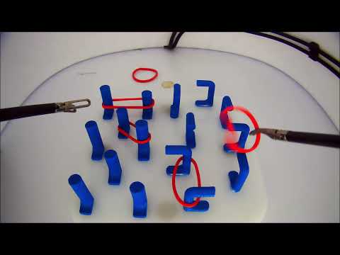 Elastike in stebrički