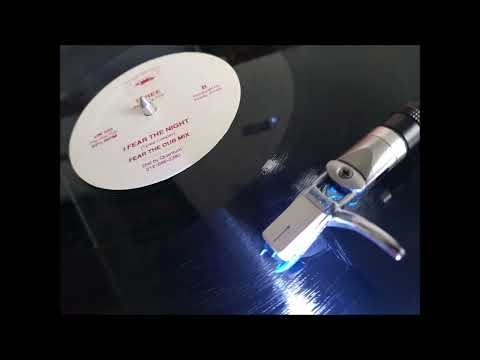 I Fear The Night (Fear The Dub Mix) - Tyree feat Chic