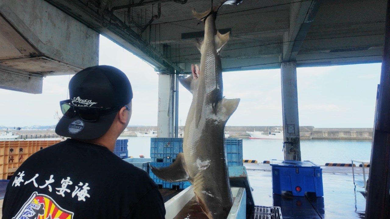 推定100kgオーバーのサメを解体しながら今年の野望を話しました