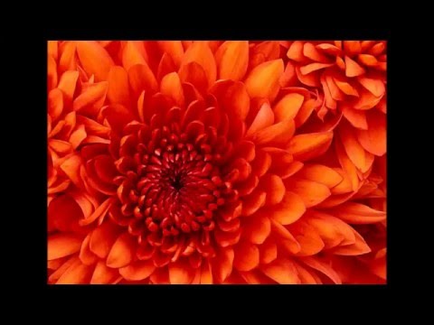 Video thumbnail for Home Once Again
