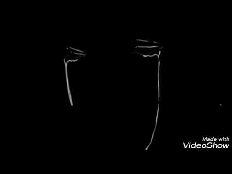 Promotional video thumbnail 1 for Alex