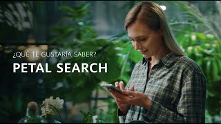 HUAWEI Petal Search - Dos años haciendo volar tu curiosidad Trailer