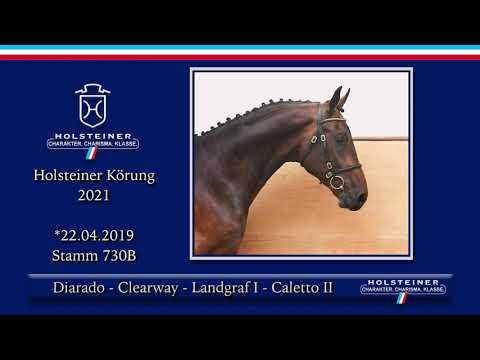 Holsteiner Körlot 2021 | Nr. 37 v. Diarado - Clearway - Landgraf I - Caletto II