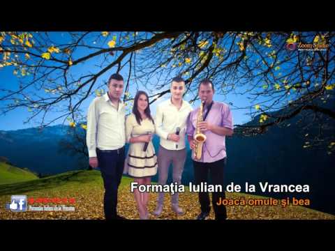FORMATIA IULIAN DE LA VRANCEA- JOACA OMULE SI BEA (ETNO 2016)