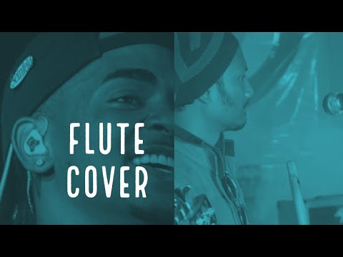 Ozuna - Hasta Que Salga El Sol | Cap.2 | FLUTE Cover | Flute Sumon