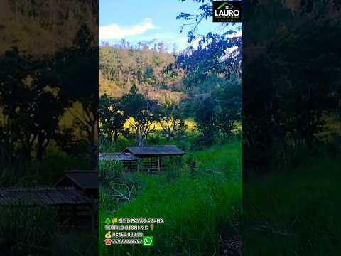 🌲🌾 SÍTIO PAVÃO 4.84HA TEÓFILO OTONI-MG 📍 💰 R$450.000.00 ☎️ 33999028393