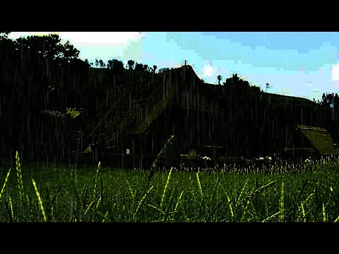 Duerma Instantáneamente en 15 Minutos con Sonido de Lluvia en Techo en el Bosque Brumoso   ASMR