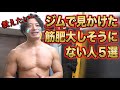 筋肥大しなさそうな人5選