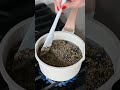Lavender Simple Syrup Recipe
