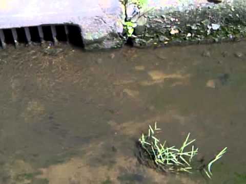 2011.10.30 flooding @ home Ep. 2