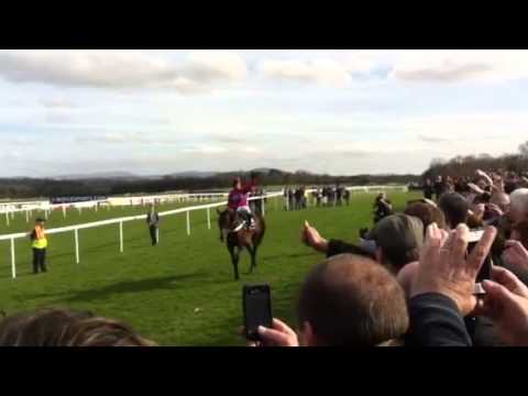 Sprinter Sacre - The walk of a champion :)
