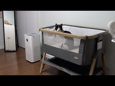 곧 태어날 아기를 위해 준비중인데...근데 넌 뭐냥