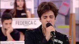 We Are The Wild Ones - Mike Bird