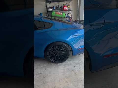 2020 5.0 Mustang with Eibach Sportline Lowering Springs!