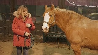 FULL STORY: Horse Therapy