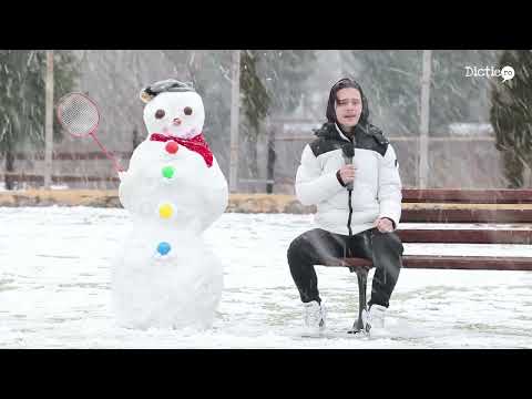 Povestea omului de zăpadă - Iosif Chitescu