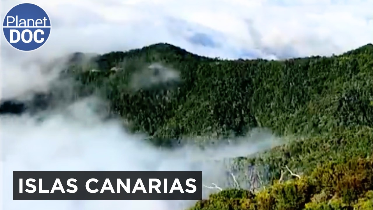 Islas Canarias: el Archipiélago que nació del Volcán | Documental Completo | PlanetDoc