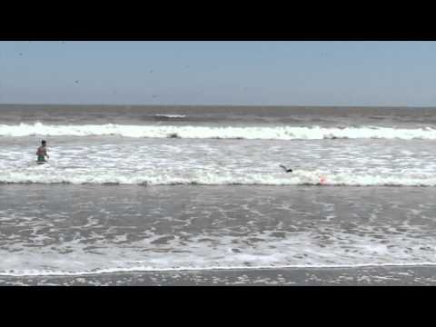 jorge blanco y diego dominguez en la playa