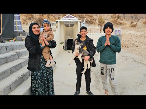 Ein süßer Welpe kommt auf den Berg und wird sofort Teil der Familie.