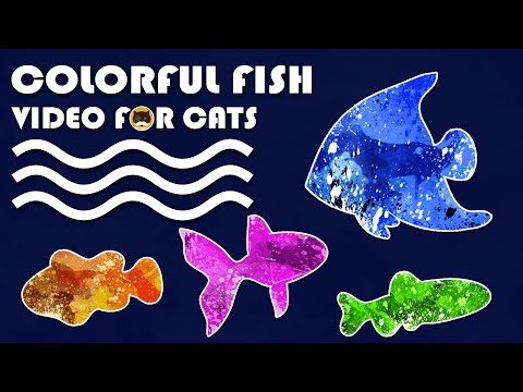 Cat Game on Screen - Catching Colorful Fish! FISH VIDEO FOR CATS TO WATCH.