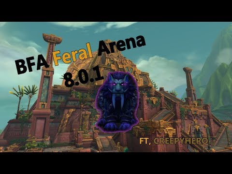 Feral Druid 2v2 Arena BFA 8.0.1