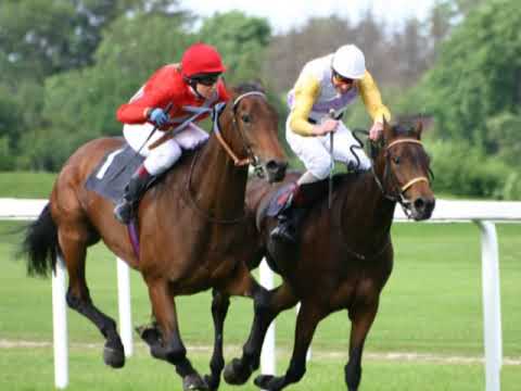Chad Mitchell Trio - Stewball And Griselda (1964)