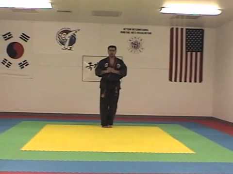 Taekwondo Hyung. Chon-Ji to Chung-Mu