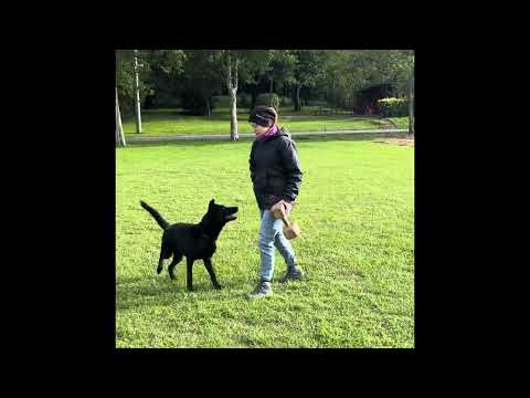 Ursa z Jukasu - aporty IGP3 - dumbbell work IGP3 - 10/2025