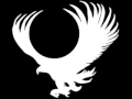Rise Of The Phoenix by EagleGuard