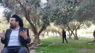 הנשק שמרעיד את האויב: כוחה של השתחוויה בהר הבית | הרב אליהו ובר (ישיבת הר הבית) - התמונה מוצגת ישירות מתוך אתר האינטרנט יוטיוב. זכויות היוצרים בתמונה שייכות ליוצרה. קישור קרדיט למקור התוכן נמצא בתוך דף הסרטון